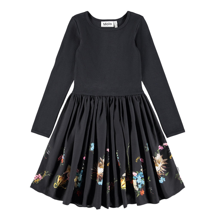 Casie-Paisley Border