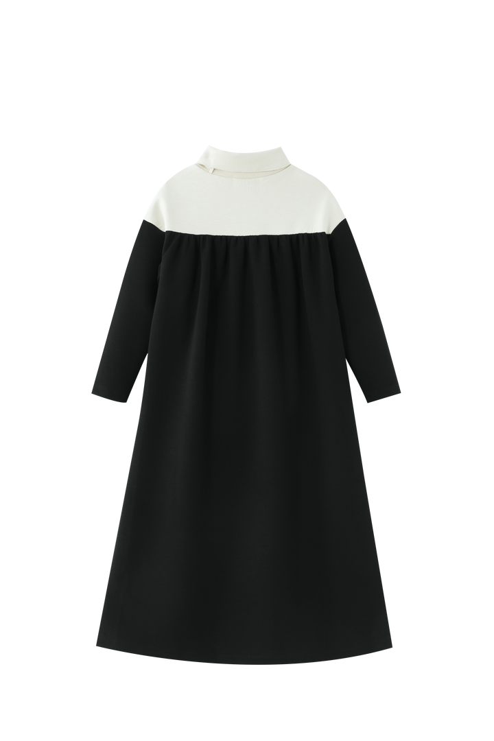 COLORBLOCK TURTLENECK MAXI DRESS-STONE/BLACK