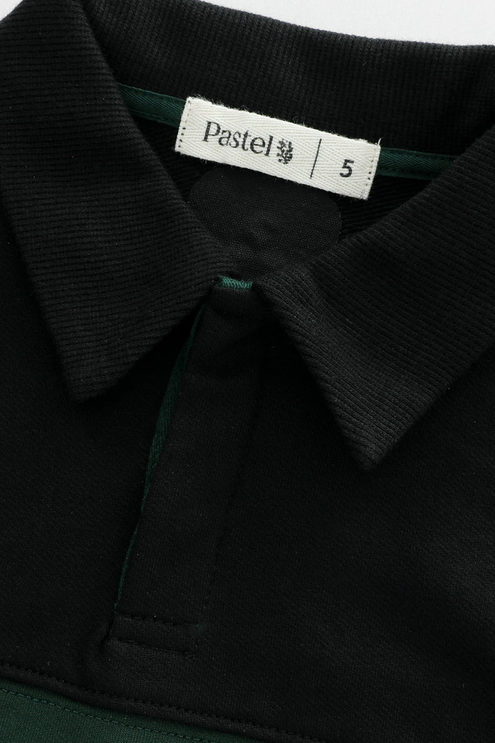 BOLD STRIPED POLO-GREEN STRIPED