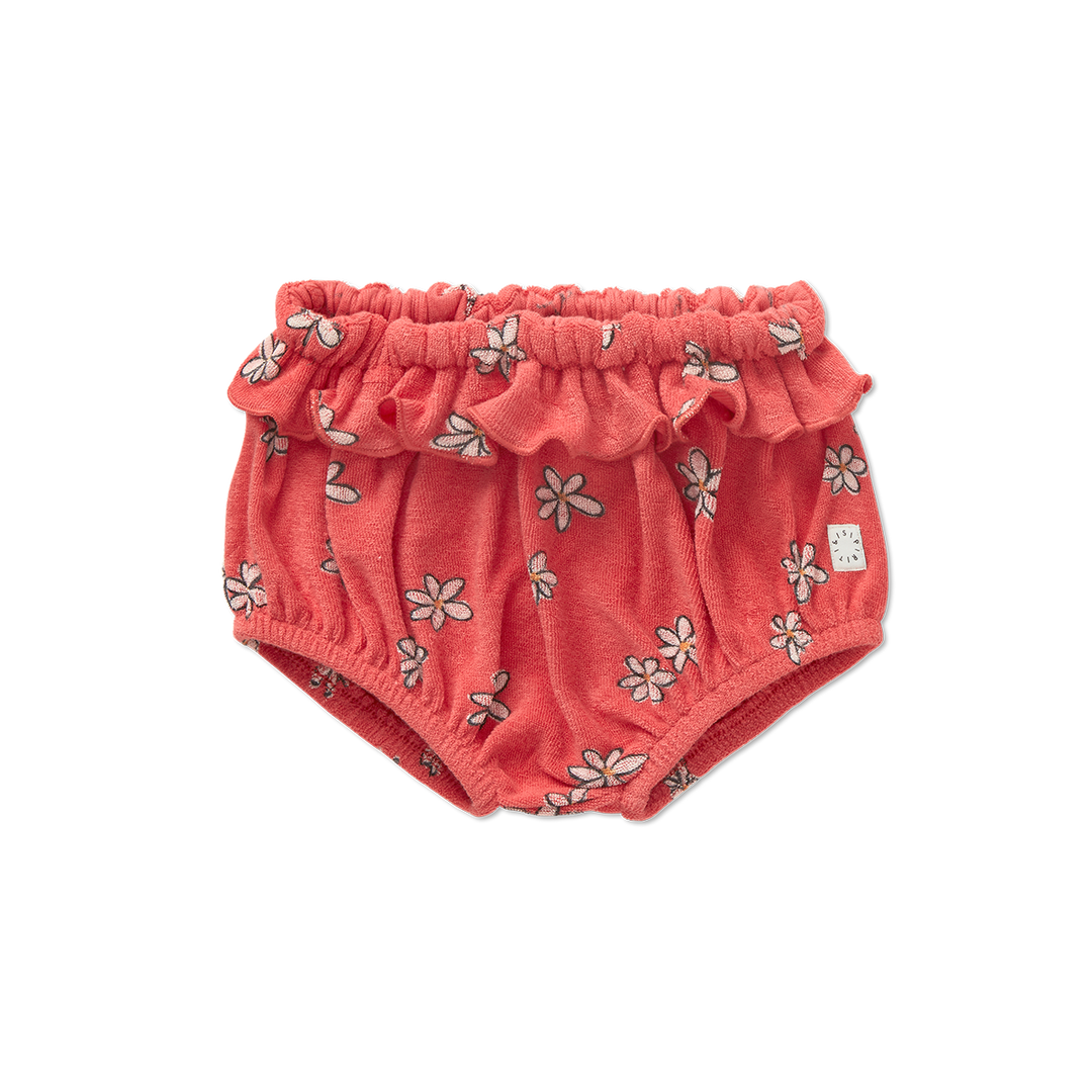 1812-RUFFLE BLOOMER DAISIES PRINT -Rose petal