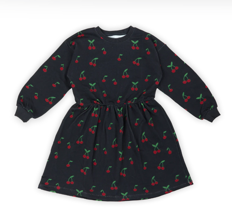 A25201L-Harriet Dress-black cherry sweat