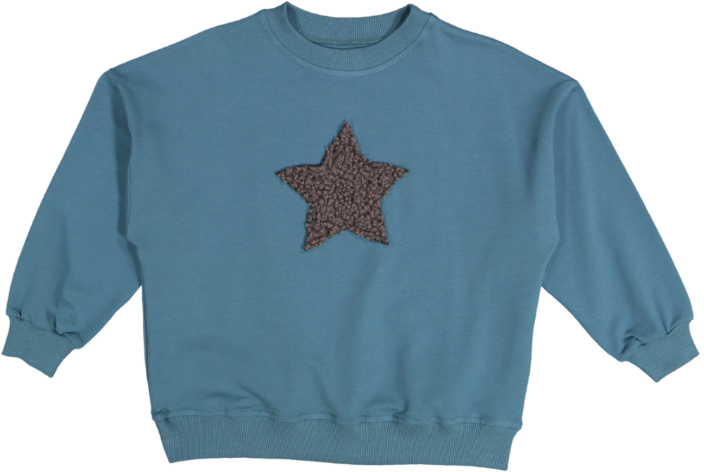 M4B.5.1-CLASSIC BLOUSE-BLUE/BROWN STAR