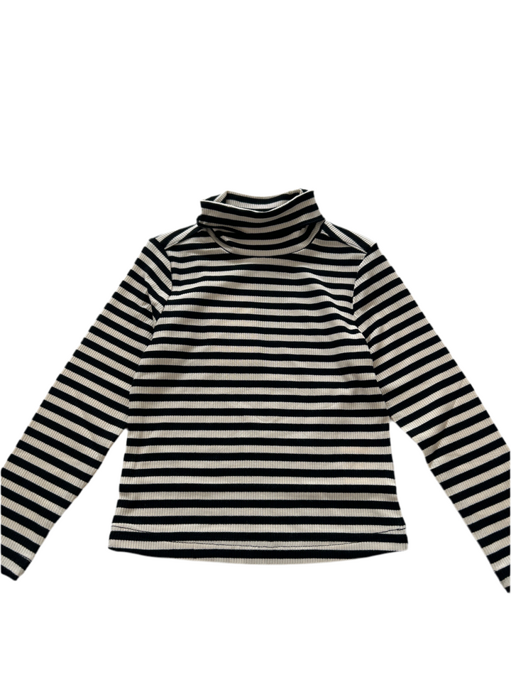 STRIPED TURTLENECK-BLACK STRIPED