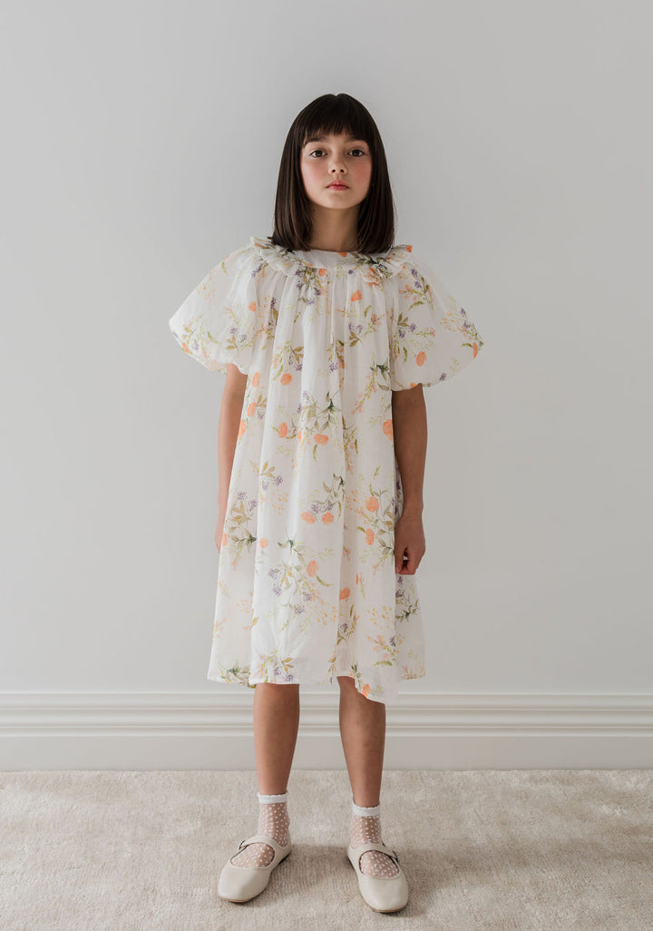 1262-S/S Summer Bouquet Smock Dress-Summer Bouquet Print