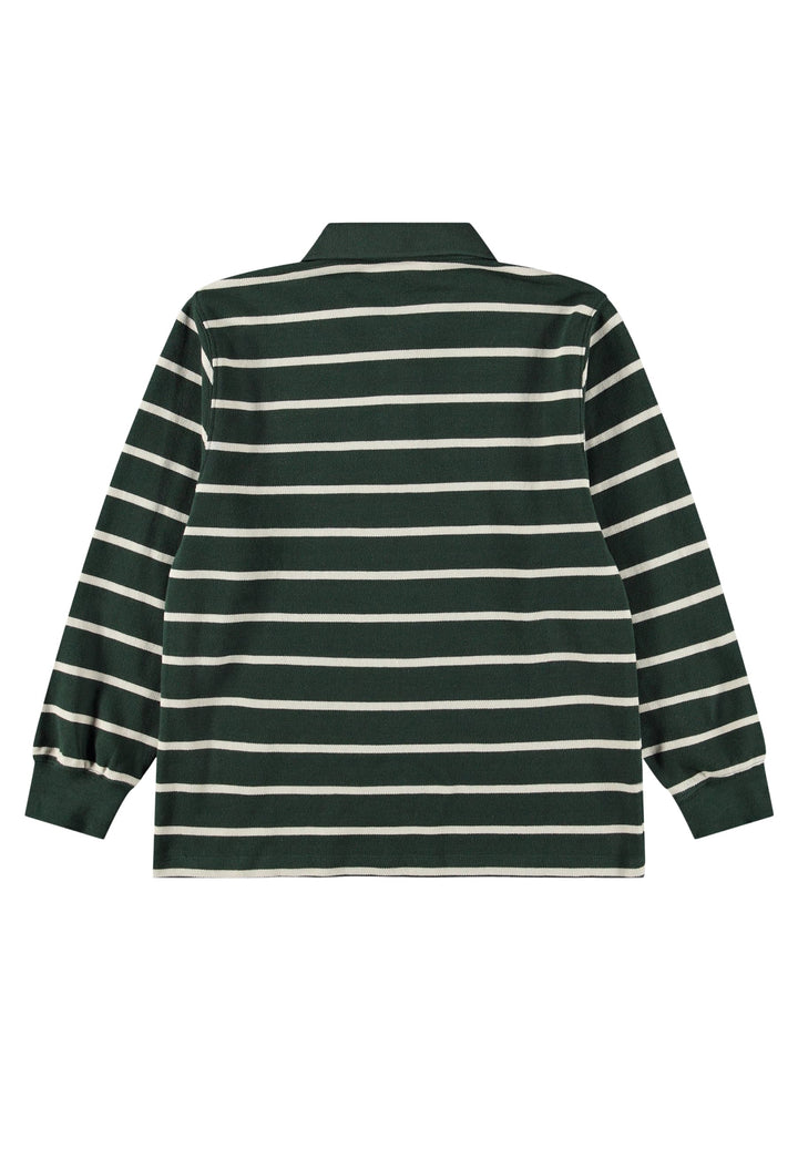 Rey Poloshirt Long sleeve - Taxus Stripe