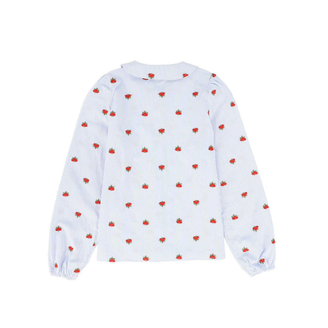 C-21080-Pinstripe Floral Blouse Floral