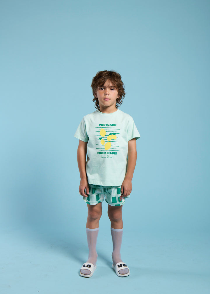 UBT08 POSTCARD-JADE/LEMONS PRINT