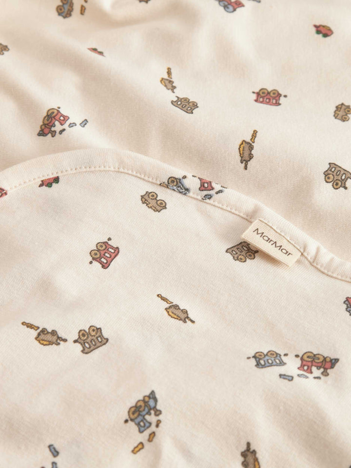 261-109-20-Alida Blanket-Trains