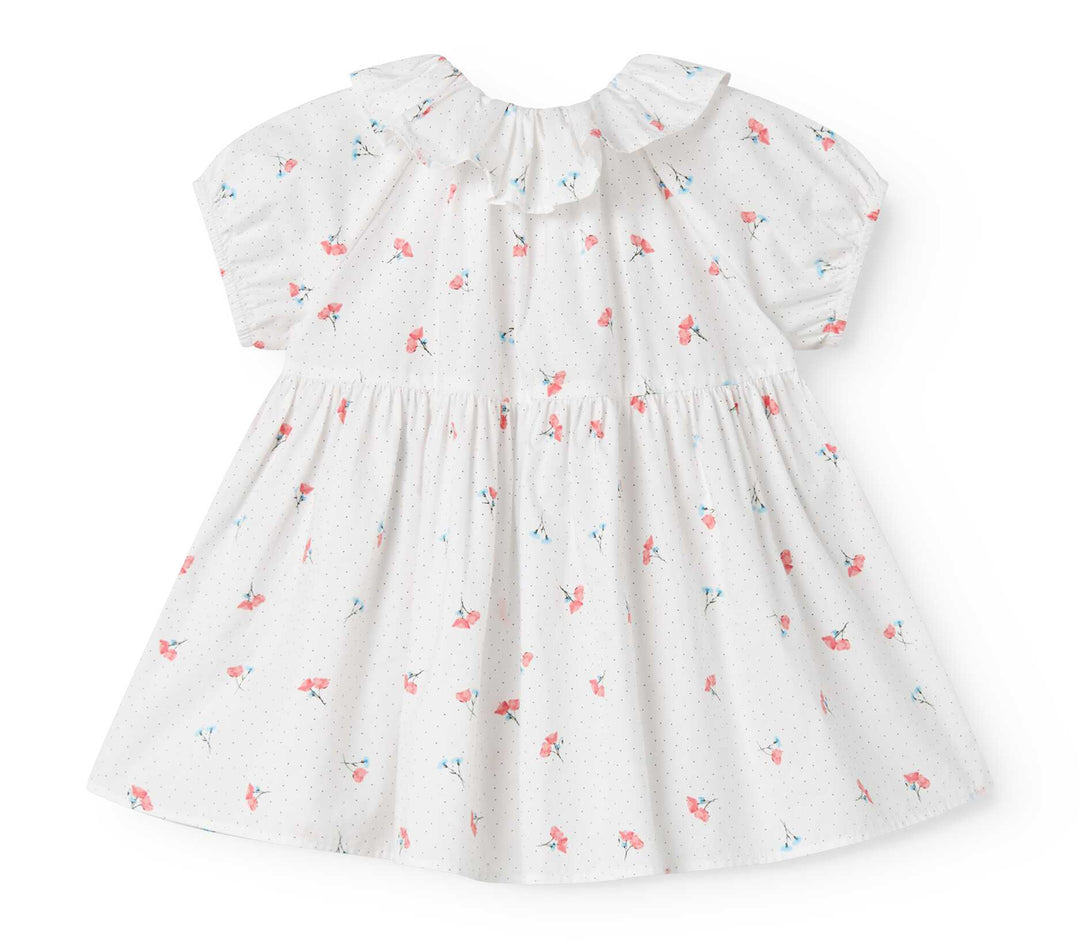 262-300-20-Dalino Dress-Poppy