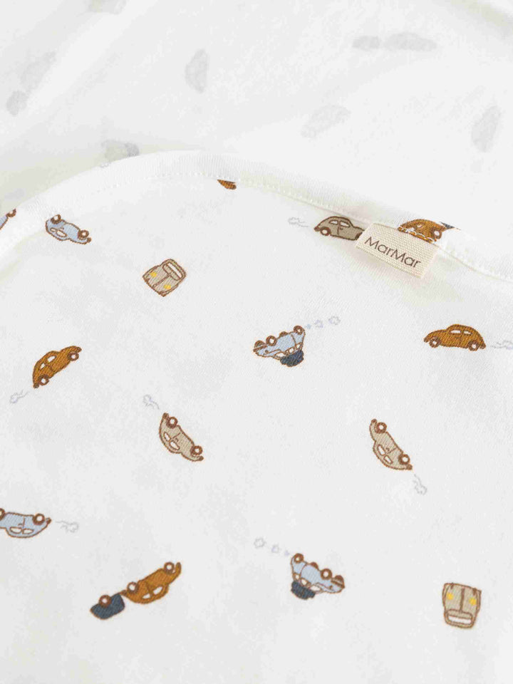264-109-16 ALIDA BLANKET - Cars