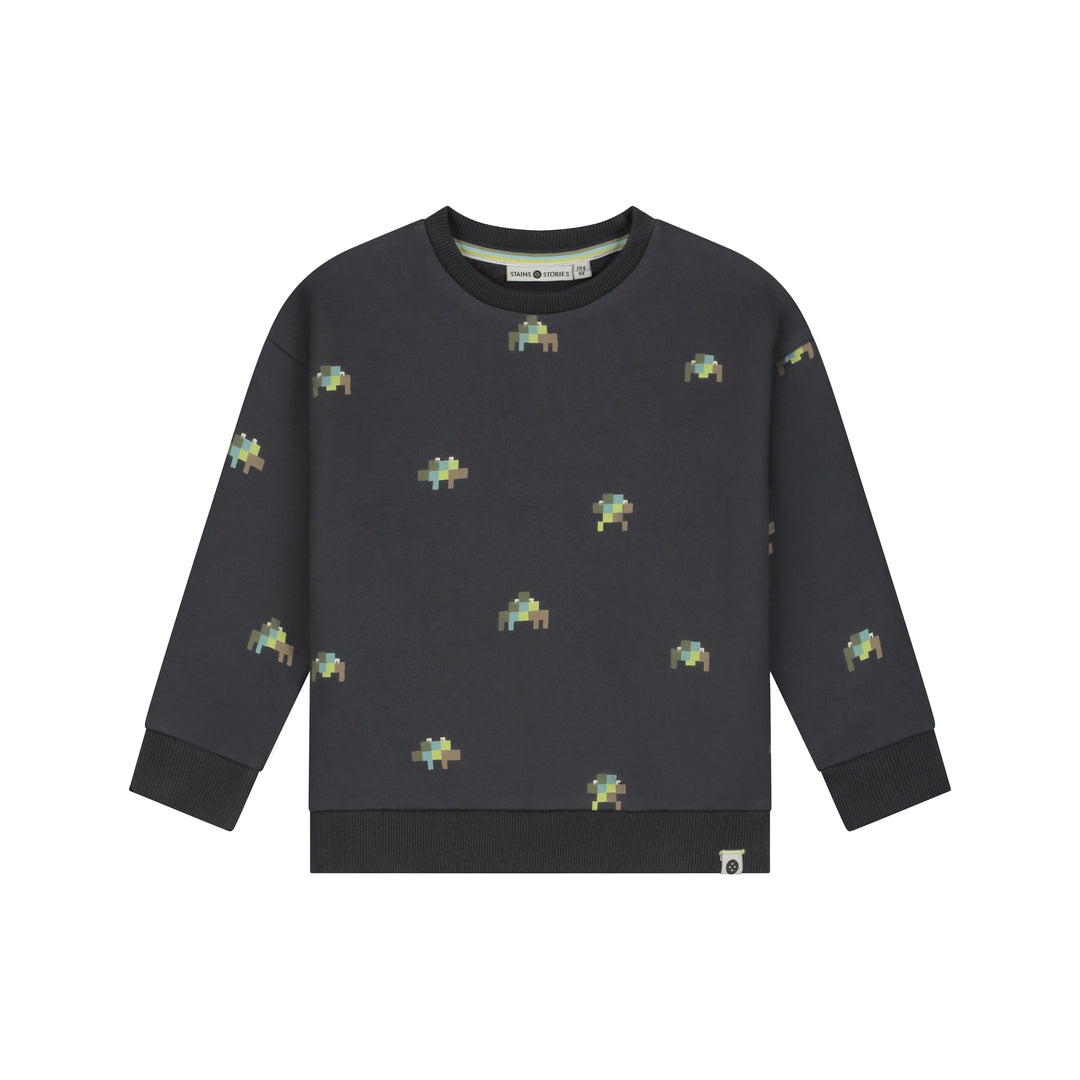 26407453 BOYS SWEATSHIRT - Antra