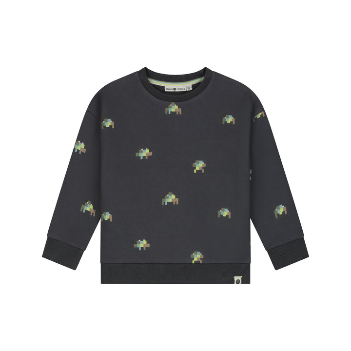 26407453 BOYS SWEATSHIRT - Antra