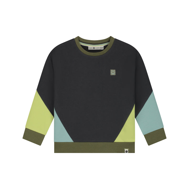 26407455 BOYS SWEATSHIRT - Antra