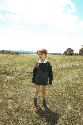 E2718BR BOY KNIT ROUND NECK SWEATER