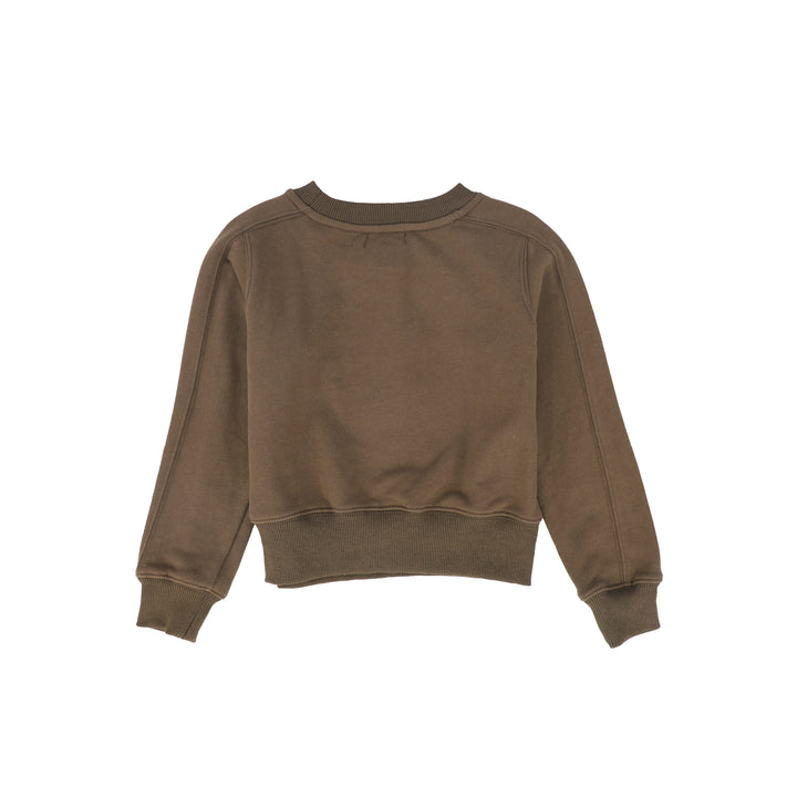 C-29897 Embroidered Seam Sweatshirt - Brown