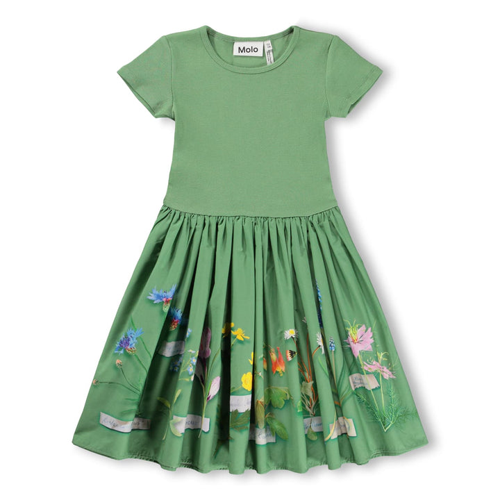 Cissa-Flora Collector