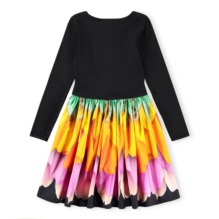 Casie-Rainbow Petals