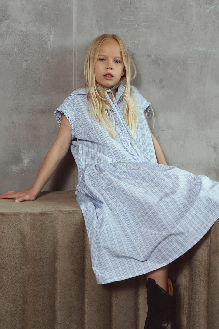ADA DRESS-BABY BLUE CHECKS