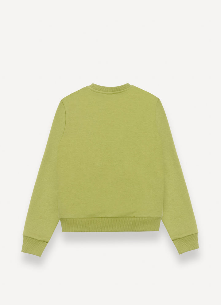 3680N SOFT CREW-NECK SWEATSHIRT - BEETLE