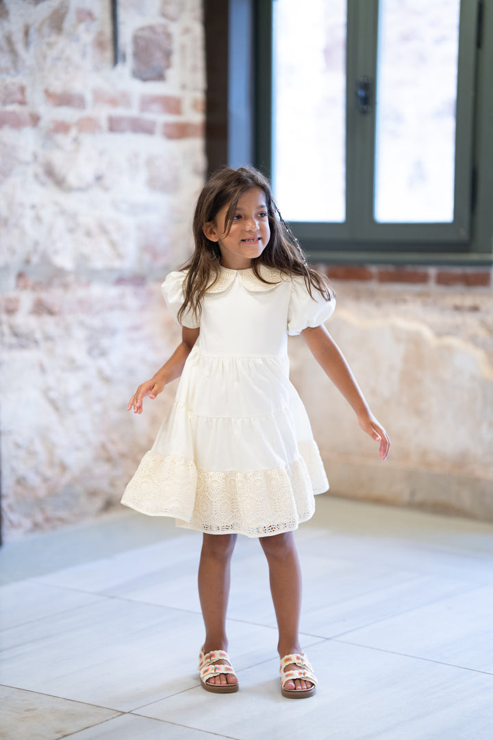 37112 DRESS S/ SLV - CTN ST 7 -CRT 1