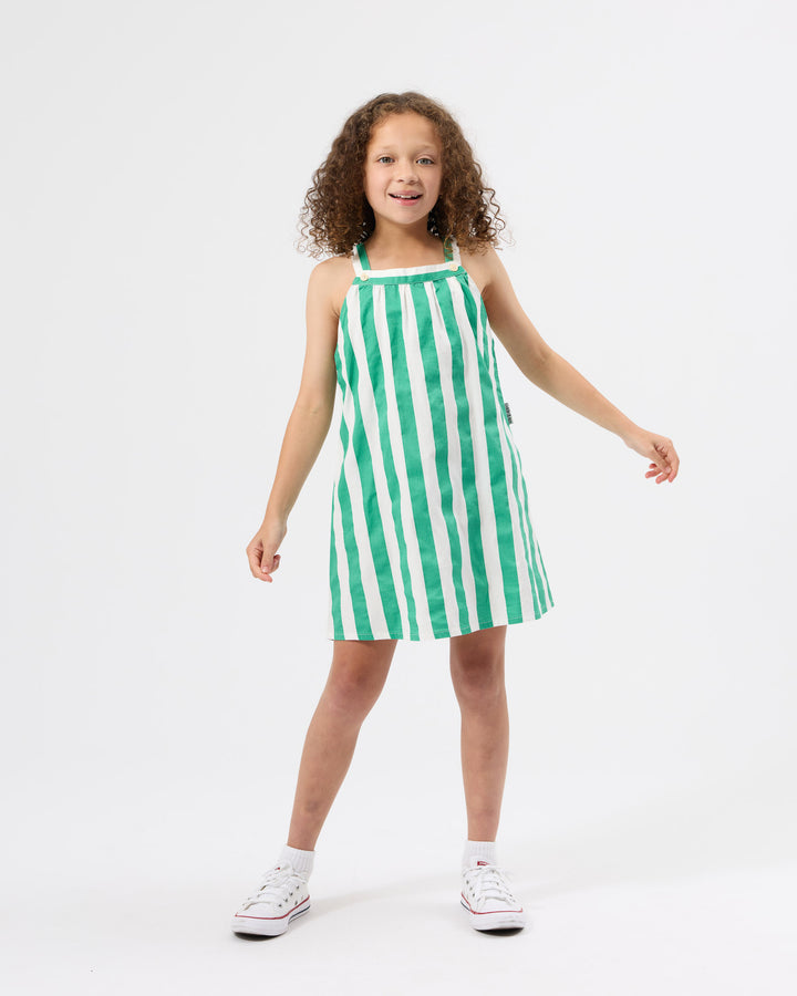 HAPPY STRIPE A-LINE DRESS