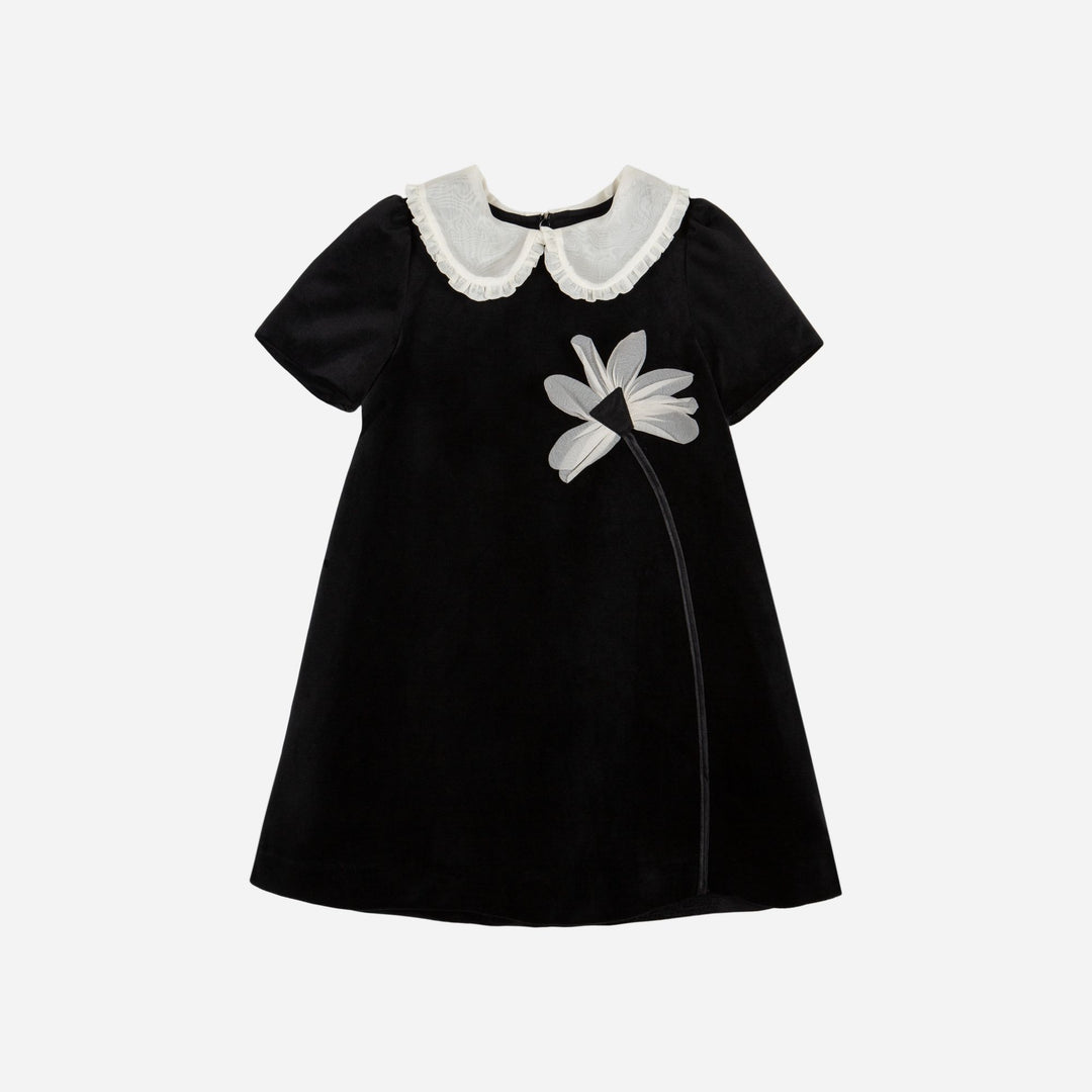 PAP/VET4133524-BLACK