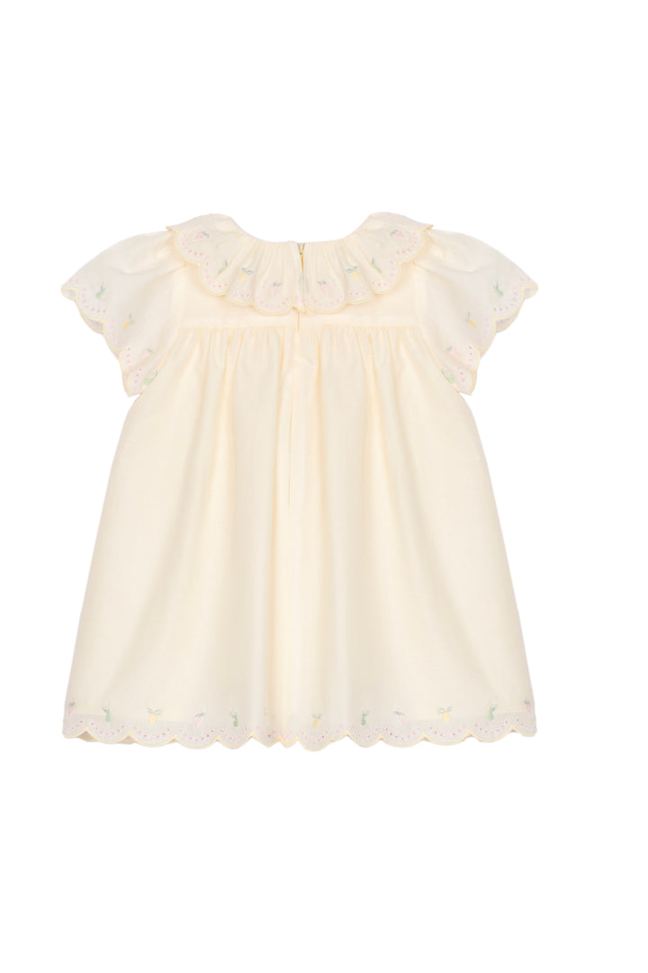 PAP/VT4233222 - BABY DRESS - 324