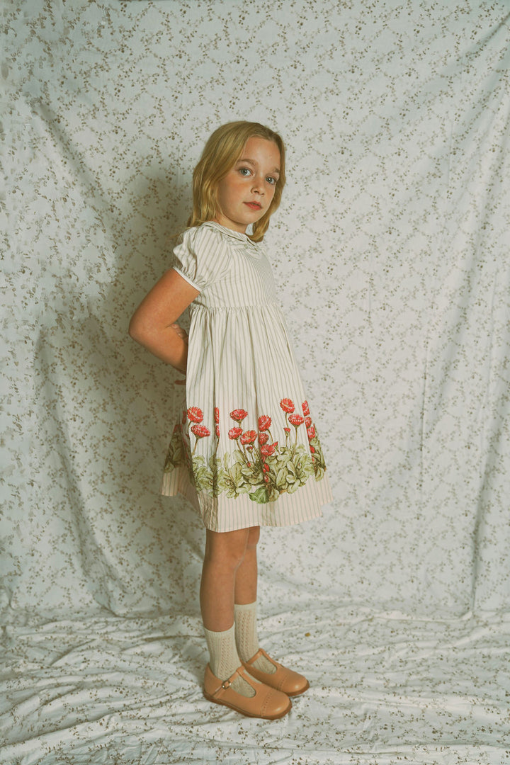 C-26112-Striped Floral Puff Sleeve Collar Dress-White/Tan