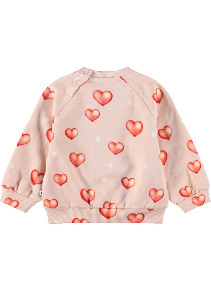 Disc Sweat shirt - Airbrush Hearts