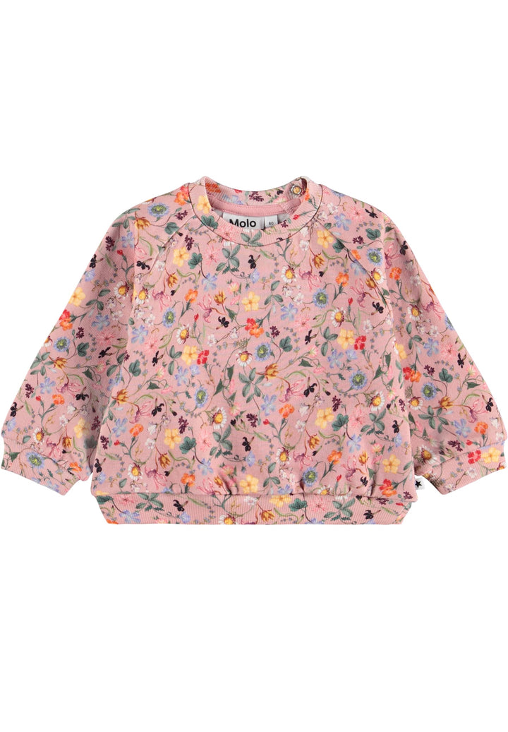 Disc Sweat shirt - Delicate Mini