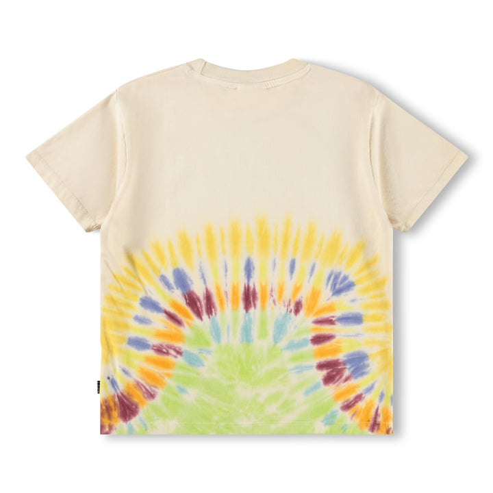 Riley-Rays of Colour