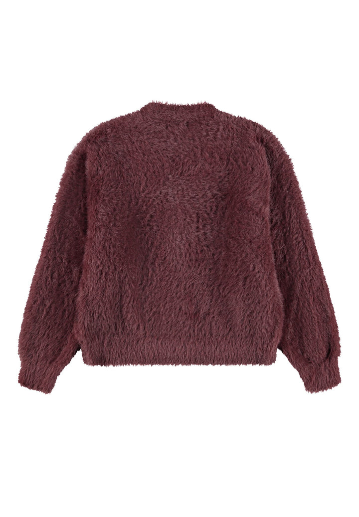 Bjorn Cardigans - Huckleberry