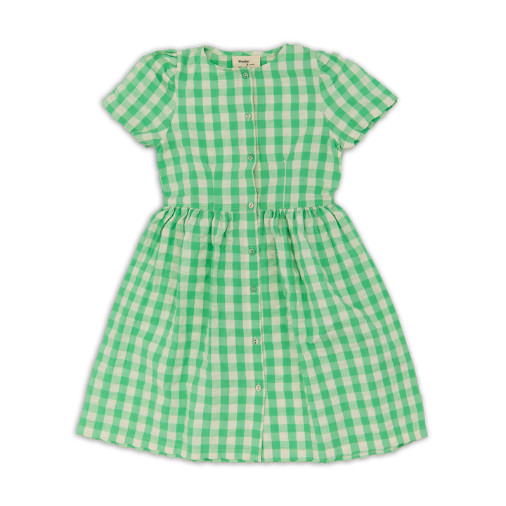 A26104L ELSPETH DRESS - JADE GINGHAM