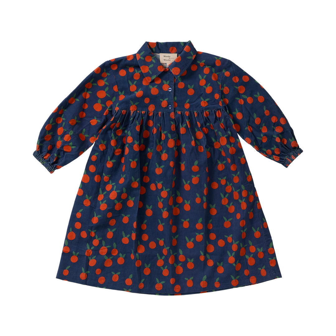 A26215 LOTTE DRESS - NAVY TANGERINE