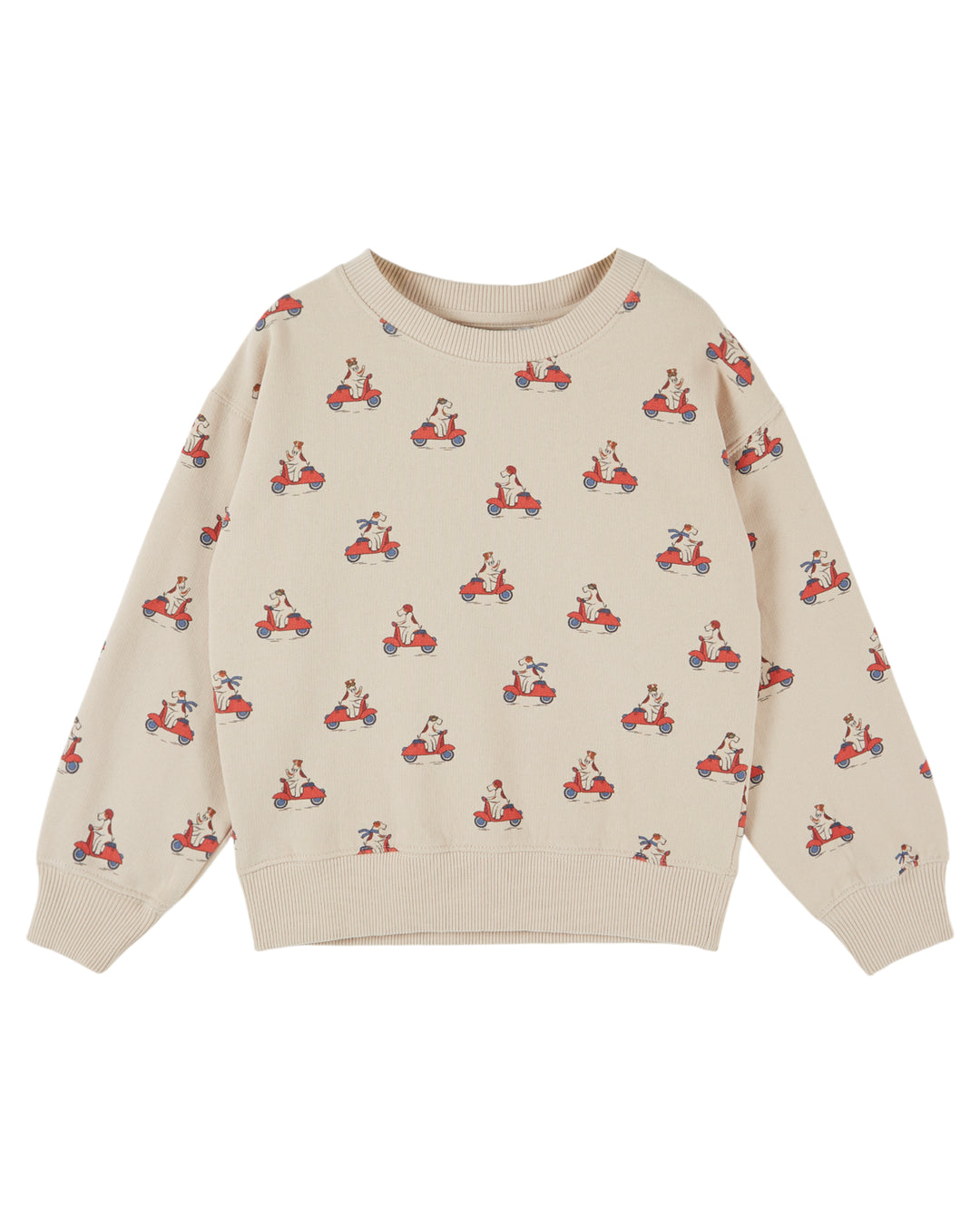 AE101 ALL OVER PRINTED SWEATSHIRT - GRAND DOG FARINE