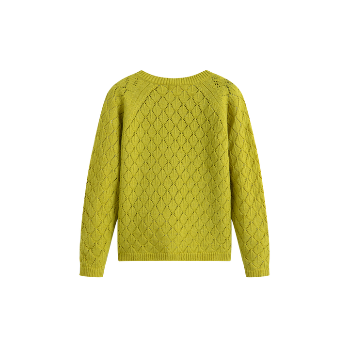 Daria Cardigan Pistachio Green