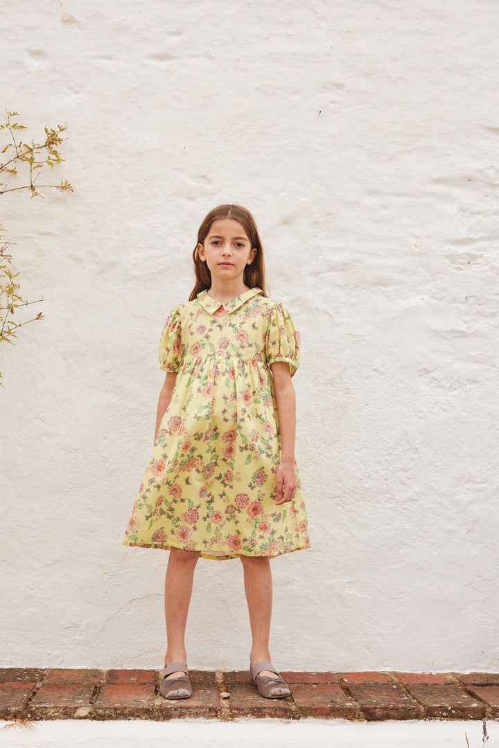 SOPHIA DRESS 3/4 SLV-Spring Meadow