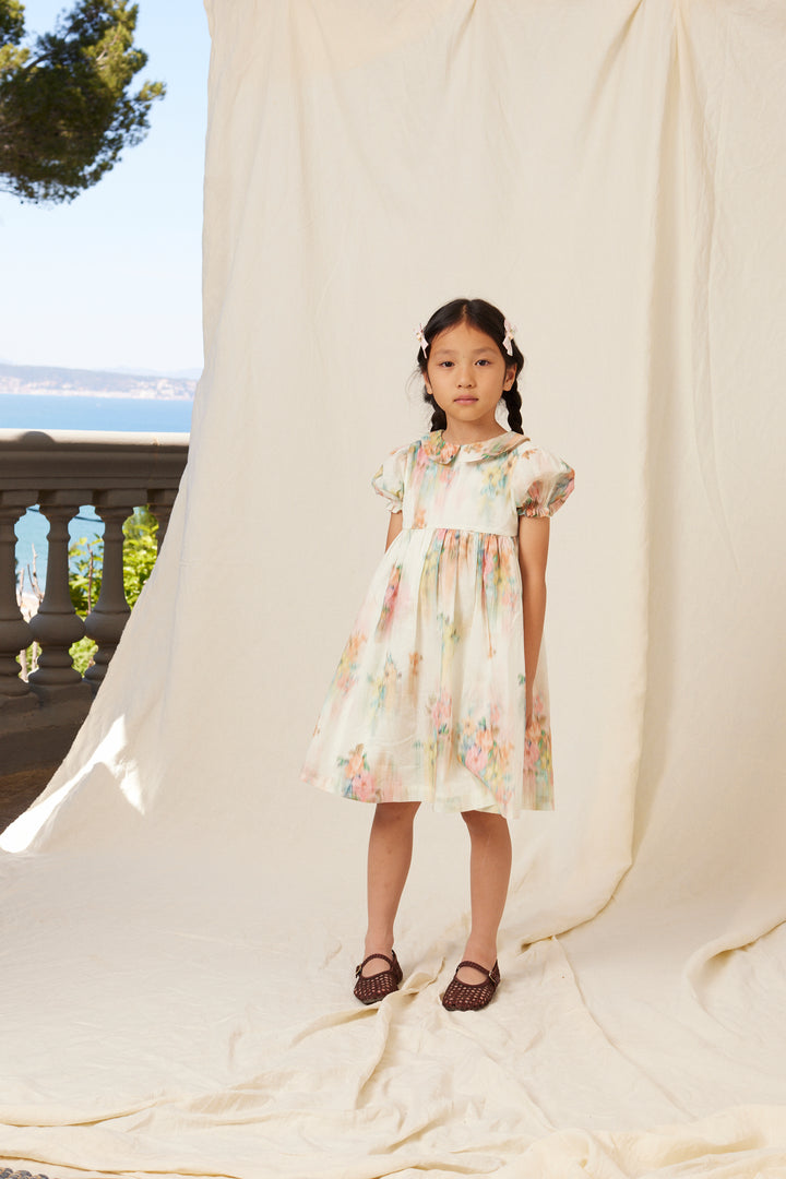 Paris Dress - Nostalgic florals