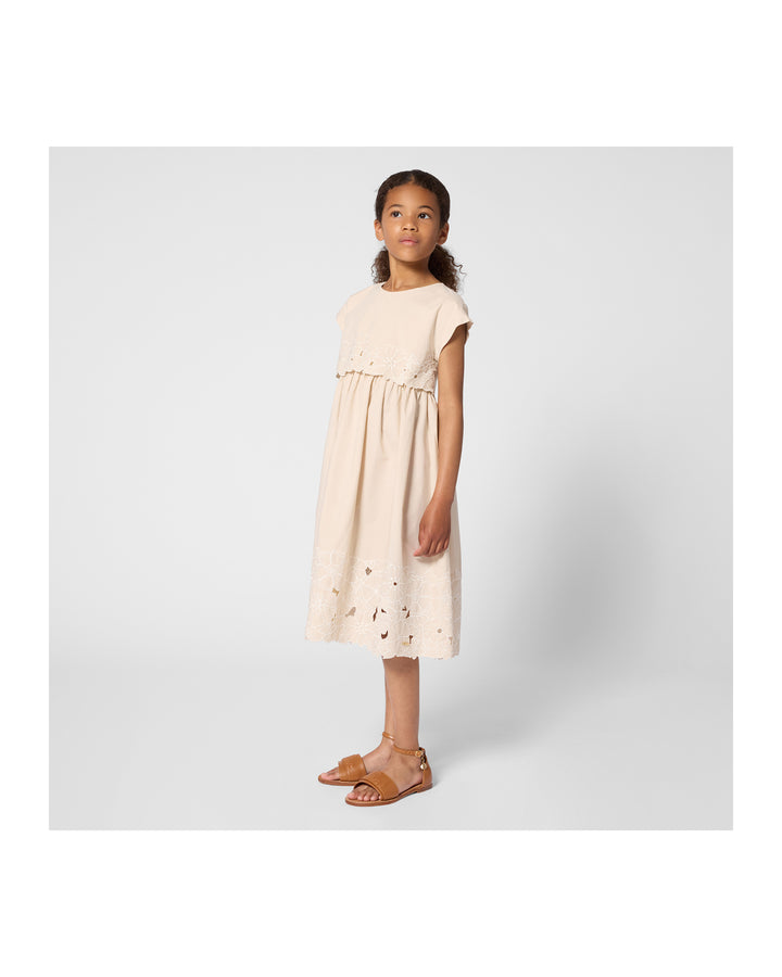 C20810-23H PERFECTLY PALE