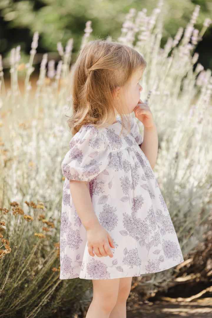 ROBE7.25S-Lilas