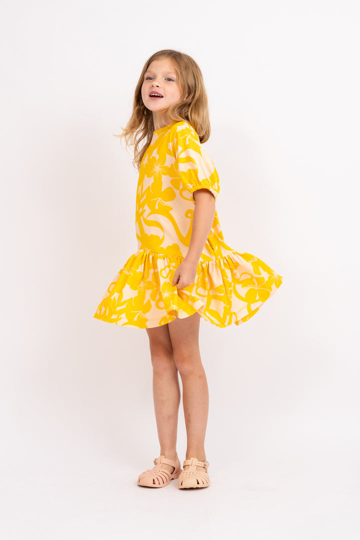 JDR31V-CHLOE DRESS-MANGO MIX