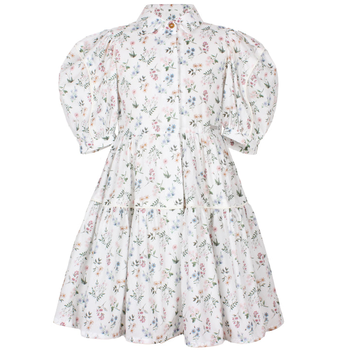 AZ-40603 - Glistening Dress - Annie Flower Print