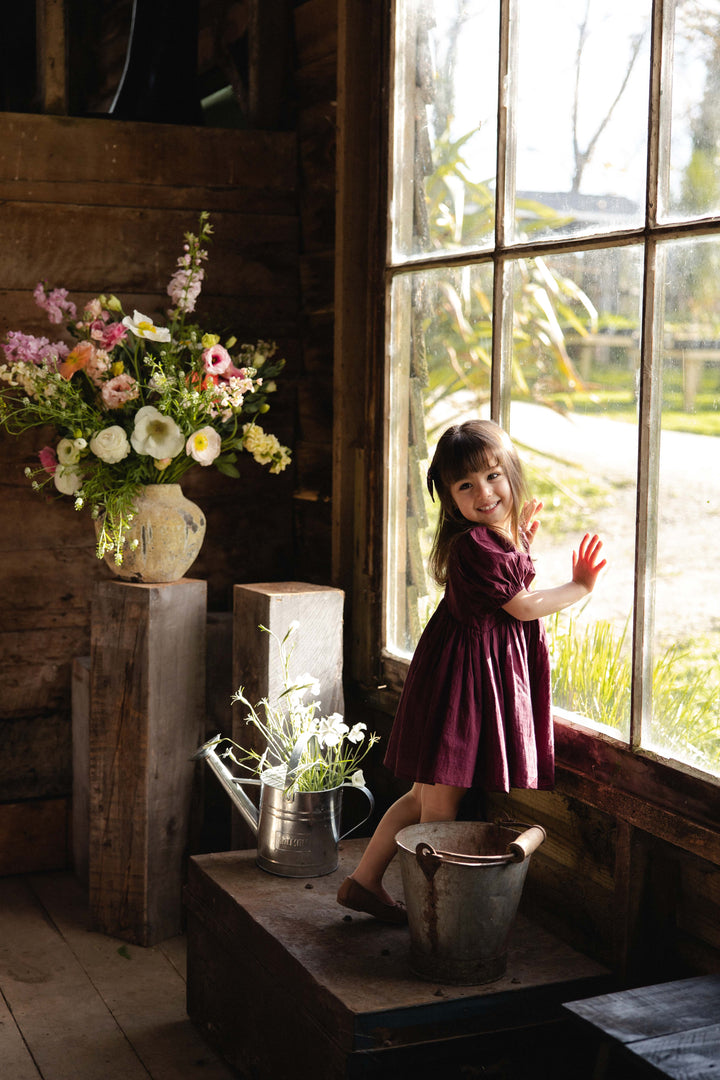 J343710607 Organic Cotton Frannie Dress - Fig