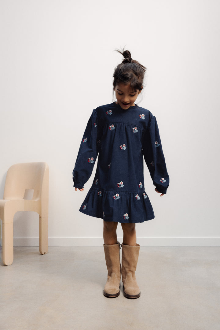 W26KDRE157 Mira Dress  Mira Embroidery