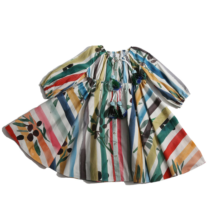 DR36S-CAMPESIGNA SHIRT DRESS-Rainbow