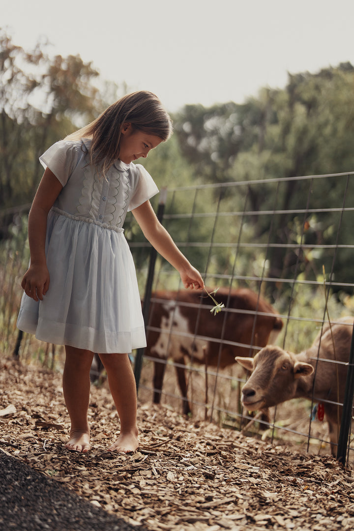 E303 Lola Dress-Blue