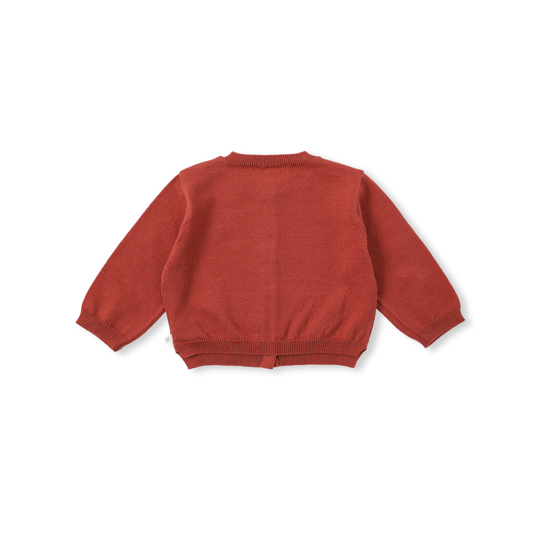 ADORABLE SHORT CARDIGAN-brick red