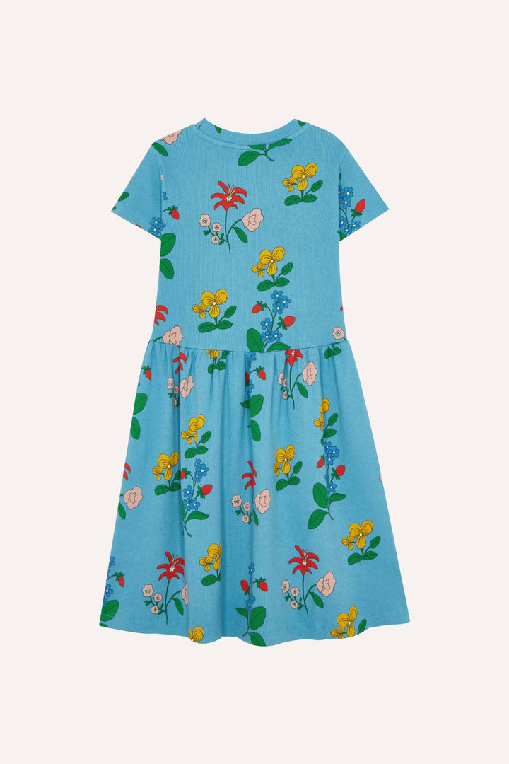 TC-SS26-100-BLUE