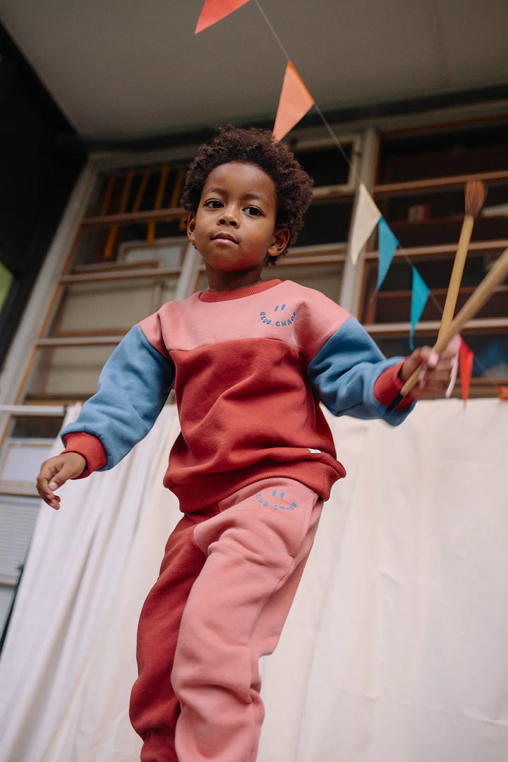 2420 SWEATSHIRT COLOURBLOCK - PALETTE