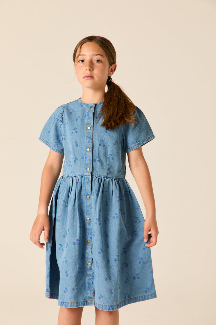 A26104L ELSPETH DRESS - CHERRIES DENIM